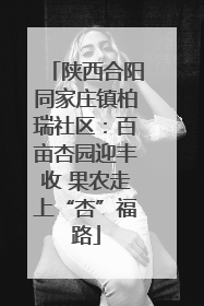 陕西合阳同家庄镇柏瑞社区：百亩杏园迎丰收 果农走上“杏”福路