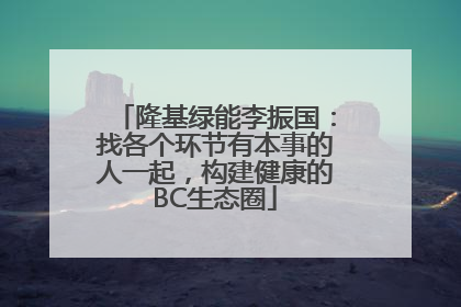 隆基绿能李振国：找各个环节有本事的人一起，构建健康的BC生态圈