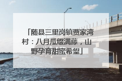 随县三里岗镇贾家湾村：八月瓜缀满藤，山野孕育甜蜜希望