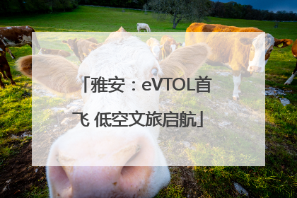 雅安：eVTOL首飞 低空文旅启航
