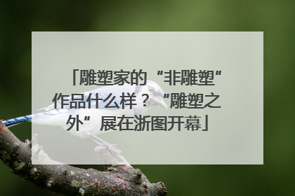 雕塑家的“非雕塑”作品什么样？“雕塑之外”展在浙图开幕