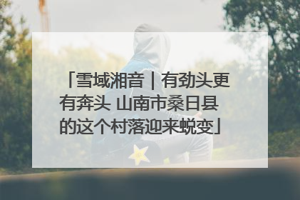 雪域湘音｜有劲头更有奔头 山南市桑日县的这个村落迎来蜕变