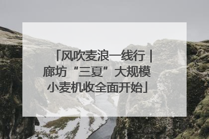 风吹麦浪一线行｜廊坊“三夏”大规模小麦机收全面开始