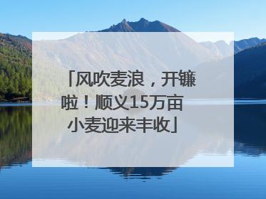 风吹麦浪，开镰啦！顺义15万亩小麦迎来丰收