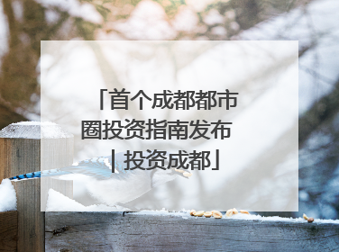 首个成都都市圈投资指南发布｜投资成都