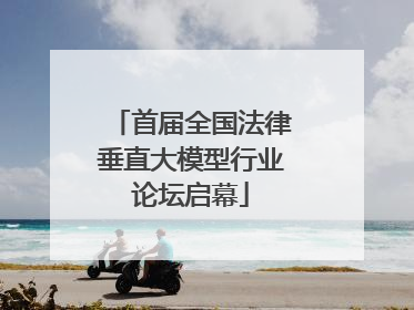 首届全国法律垂直大模型行业论坛启幕