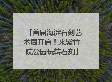 首届海淀石刻艺术周开启！来紫竹院公园玩转石刻