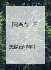 马斯克：不想做替罪羊