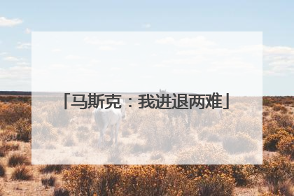 马斯克：我进退两难