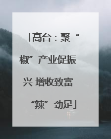 高台：聚“椒”产业促振兴 增收致富“辣”劲足