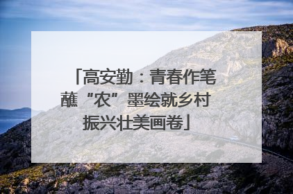 高安勤：青春作笔蘸“农”墨绘就乡村振兴壮美画卷