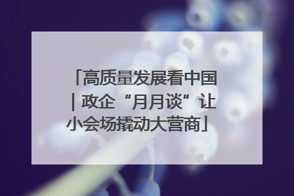 高质量发展看中国｜政企“月月谈”让小会场撬动大营商