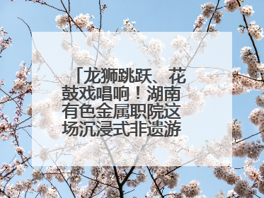 龙狮跳跃、花鼓戏唱响！湖南有色金属职院这场沉浸式非遗游园活动很带感