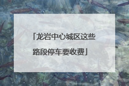 龙岩中心城区这些路段停车要收费