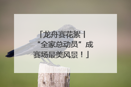 龙舟赛花絮丨 “全家总动员”成赛场最美风景！