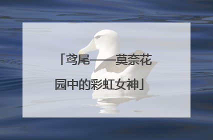 鸢尾——莫奈花园中的彩虹女神