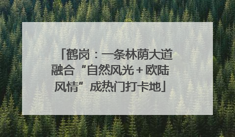 鹤岗：一条林荫大道融合“自然风光＋欧陆风情”成热门打卡地