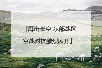 鹰击长空 东部战区空战对抗激烈展开