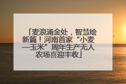 麦浪涌金处，智慧绘新篇！河南首家“小麦—玉米”周年生产无人农场喜迎丰收