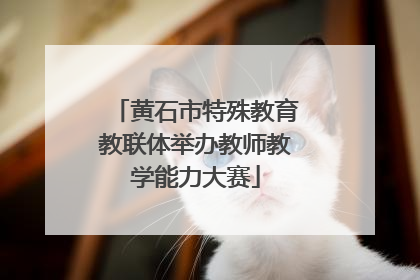 黄石市特殊教育教联体举办教师教学能力大赛