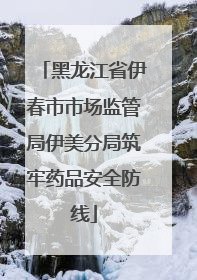 黑龙江省伊春市市场监管局伊美分局筑牢药品安全防线