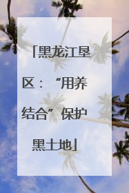 黑龙江垦区：“用养结合”保护黑土地