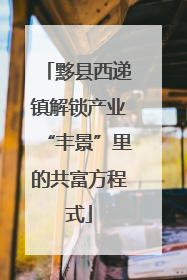 黟县西递镇解锁产业“丰景”里的共富方程式