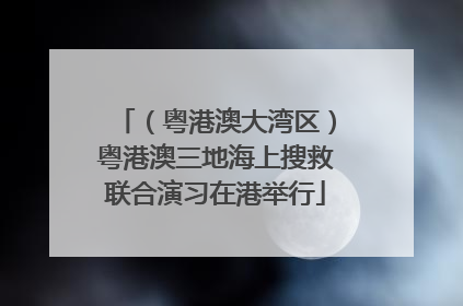 （粤港澳大湾区）粤港澳三地海上搜救联合演习在港举行