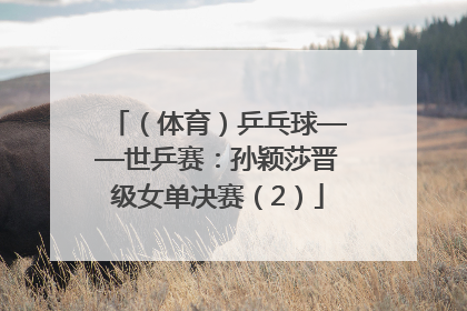 （体育）乒乓球——世乒赛：孙颖莎晋级女单决赛（2）