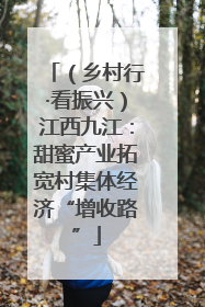 （乡村行·看振兴）江西九江：甜蜜产业拓宽村集体经济“增收路”