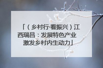 （乡村行·看振兴）江西瑞昌：发展特色产业 激发乡村内生动力