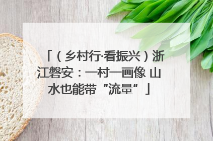 （乡村行·看振兴）浙江磐安：一村一画像 山水也能带“流量”