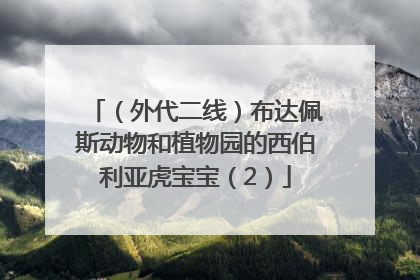 （外代二线）布达佩斯动物和植物园的西伯利亚虎宝宝（2）