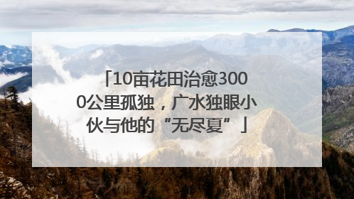10亩花田治愈3000公里孤独，广水独眼小伙与他的“无尽夏”