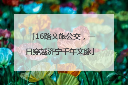 16路文旅公交，一日穿越济宁千年文脉