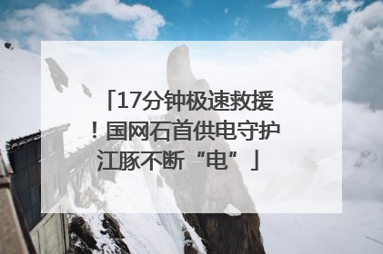 17分钟极速救援！国网石首供电守护江豚不断“电”