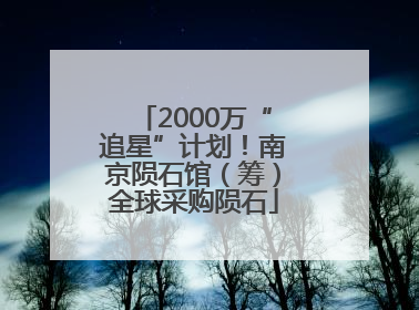 2000万“追星”计划！南京陨石馆（筹）全球采购陨石