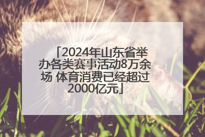 2024年山东省举办各类赛事活动8万余场 体育消费已经超过2000亿元