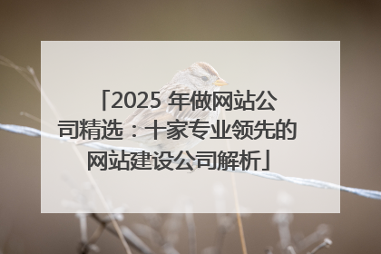 2025 年做网站公司精选：十家专业领先的网站建设公司解析