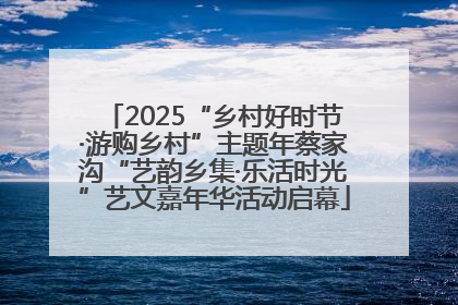 2025“乡村好时节·游购乡村”主题年蔡家沟“艺韵乡集·乐活时光”艺文嘉年华活动启幕