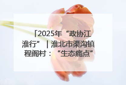 2025年“政协江淮行”｜淮北市渠沟镇程阁村：“生态痛点”变“生态景观”