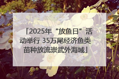 2025年“放鱼日”活动举行 35万尾经济鱼类苗种放流崇武外海域