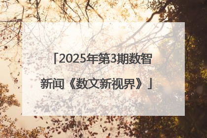 2025年第3期数智新闻《数文新视界》