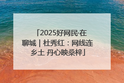 2025好网民·在聊城｜杜秀红：网线连乡土 丹心映桑梓