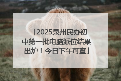 2025泉州民办初中第一批电脑派位结果出炉！今日下午可查