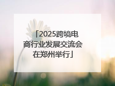 2025跨境电商行业发展交流会在郑州举行