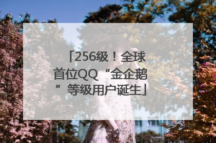 256级！全球首位QQ“金企鹅”等级用户诞生