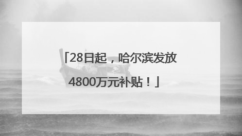 28日起，哈尔滨发放4800万元补贴！