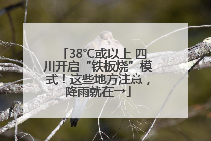 38℃或以上 四川开启“铁板烧”模式！这些地方注意，降雨就在→