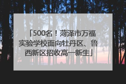 500名！菏泽市万福实验学校面向牡丹区、鲁西新区招收高一新生